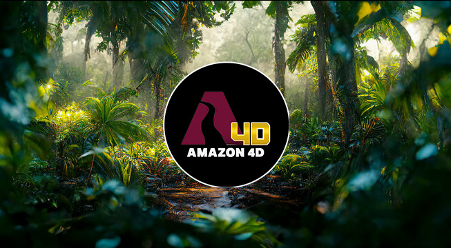 amazon-4d