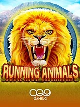 running-animals